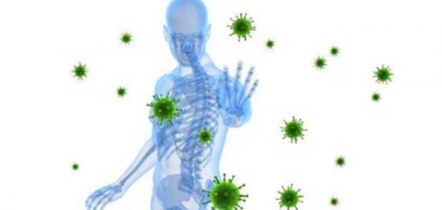 8 نصائح لتقوية جهاز المناعة 8 نصائح لتقوية جهاز المناعة