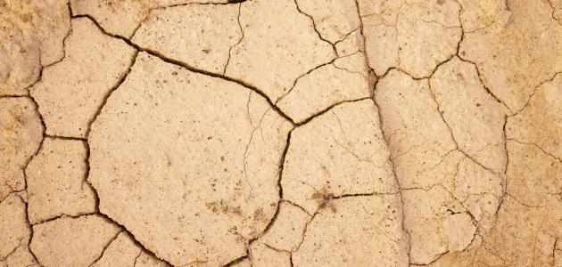 آثار تلوث التربة آثار تلوث التربة