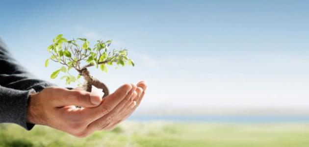 أبواب الصدقة في رمضان أبواب الصدقة في رمضان