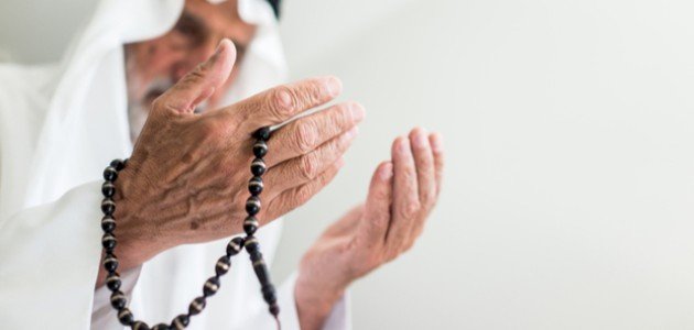 أبو الحسن الندوي أبو الحسن الندوي