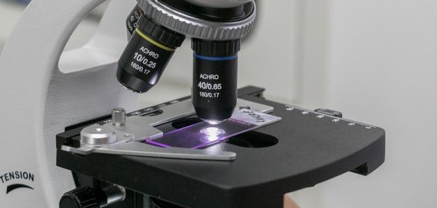 أجزاء المجهر الضوئي ووظائفها أجزاء المجهر الضوئي ووظائفها