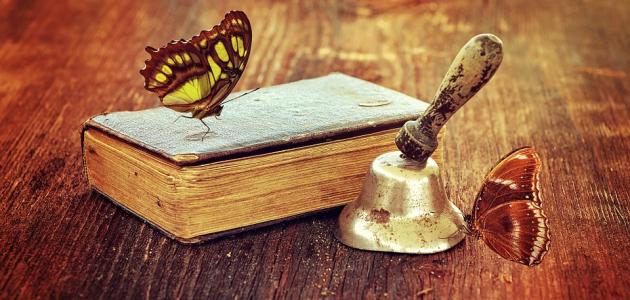 أجمل أبيات الشعر العربي في الحكمة