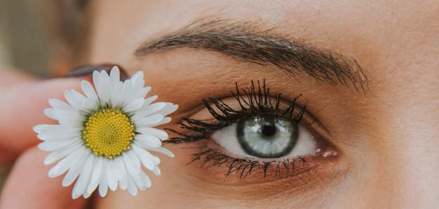 أجمل بيت شعر غزل أجمل بيت شعر غزل