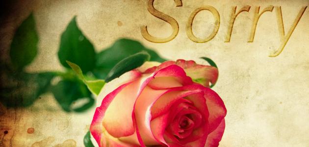 أجمل عبارات اعتذار أجمل عبارات اعتذار