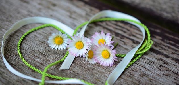 أجمل عبارات الحب والعشق أجمل عبارات الحب والعشق