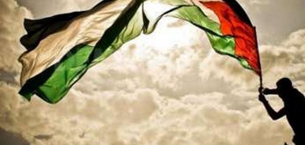 أجمل ما في فلسطين أجمل ما في فلسطين