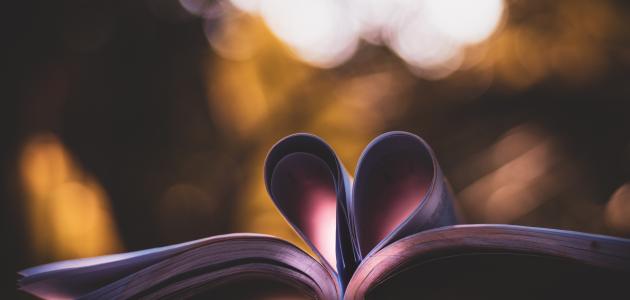 أجمل ما كتب جميل بثينة