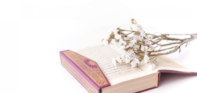 أحاديث عن فضل حسن الخلق أحاديث عن فضل حسن الخلق