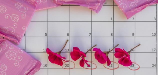 أحكام الحيض والاستحاضة أحكام الحيض والاستحاضة