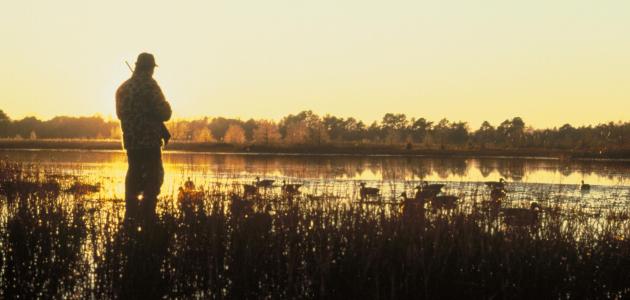 أحكام الصيد أحكام الصيد