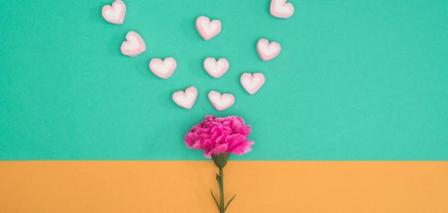 أحلى الكلام بعيد الحب أحلى الكلام بعيد الحب