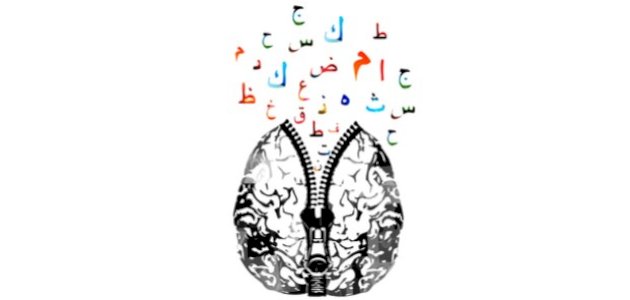 أدوات نصب الفعل المضارع أدوات نصب الفعل المضارع