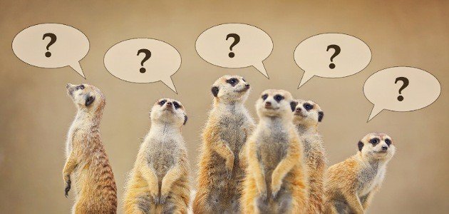 أسئلة عن الحيوانات للأطفال