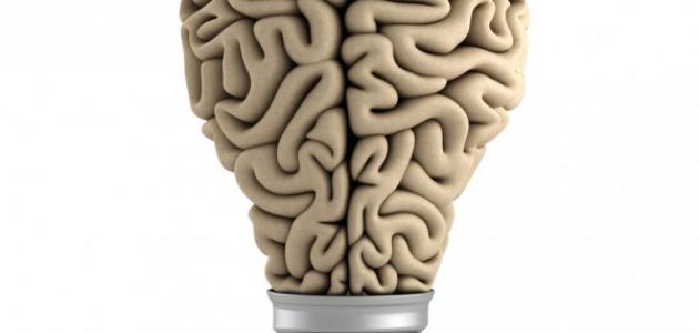 أساليب التفكير