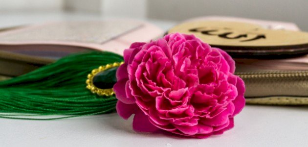 أسباب السعادة في القرآن الكريم أسباب السعادة في القرآن الكريم