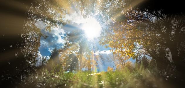 أسباب الهداية