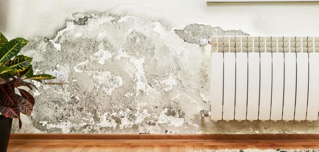 أسباب رطوبة الجدران أسباب رطوبة الجدران