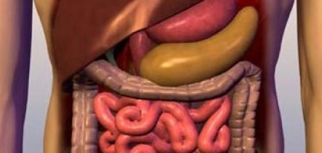 أسباب سوء الامتصاص أسباب سوء الامتصاص