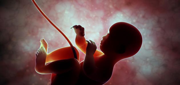 أسباب صغر حجم الجنين أسباب صغر حجم الجنين