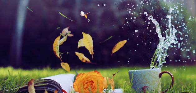 أشعار أبي العلاء المعري أشعار أبي العلاء المعري