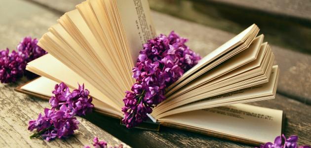 أشعار الأخطل الصغير أشعار الأخطل الصغير