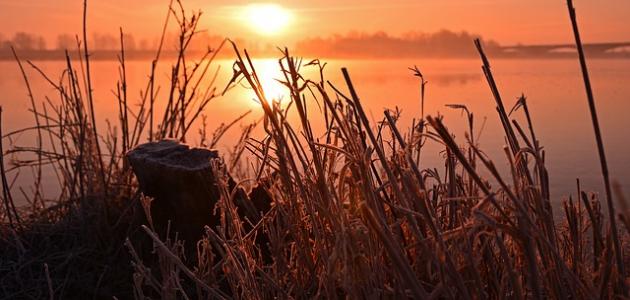 أشعار الإمام الشافعي أشعار الإمام الشافعي