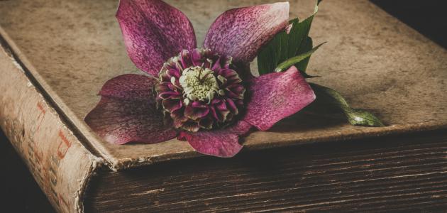 أشعار الجواهري الغزلية