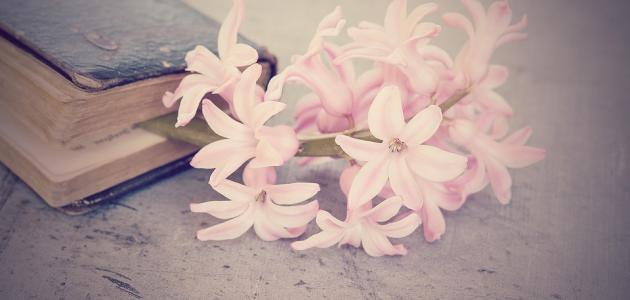 أشعار عن الحب الحقيقي أشعار عن الحب الحقيقي