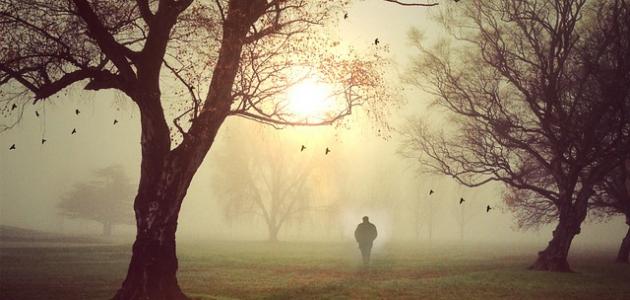 أشعار عن فراق الحبيب