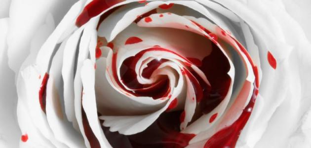 أصعب كلام عن جرح القلب أصعب كلام عن جرح القلب