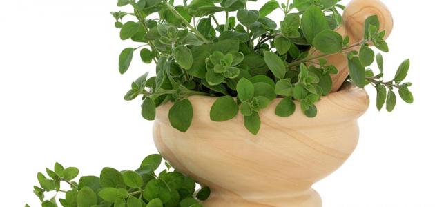 أضرار البردقوش أضرار البردقوش