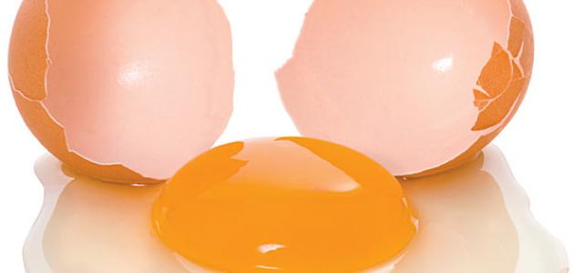أضرار البيض للشعر أضرار البيض للشعر
