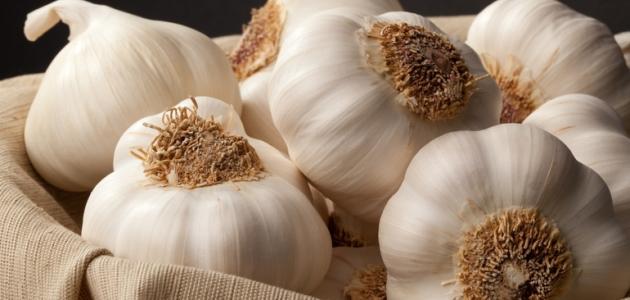 أضرار الثوم على القولون أضرار الثوم على القولون
