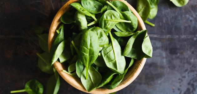 أضرار الحبق للرجال أضرار الحبق للرجال