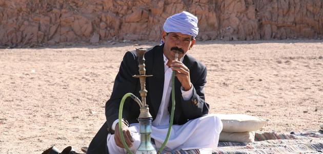 أضرار الشيشة على الجسم