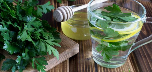 أضرار شرب مغلي البقدونس على الريق أضرار شرب مغلي البقدونس على الريق