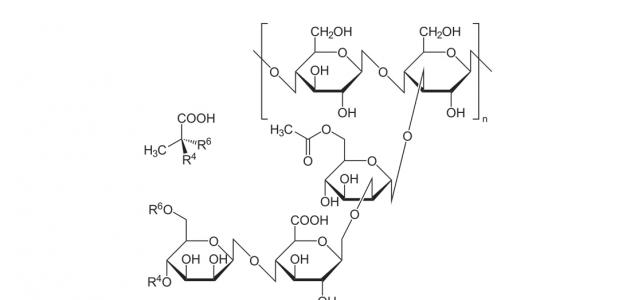 أضرار صمغ الزانثان أضرار صمغ الزانثان