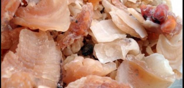 أضرار عشبة الكثيرا