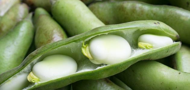 أطباق أرز بلبن