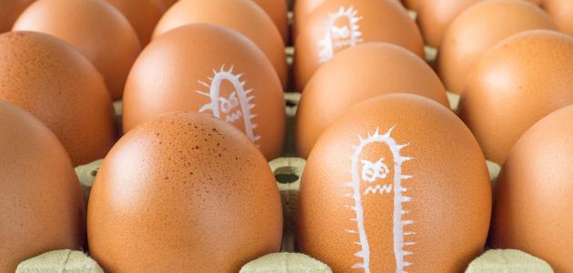 أطعمة تؤدي الى الإجهاض