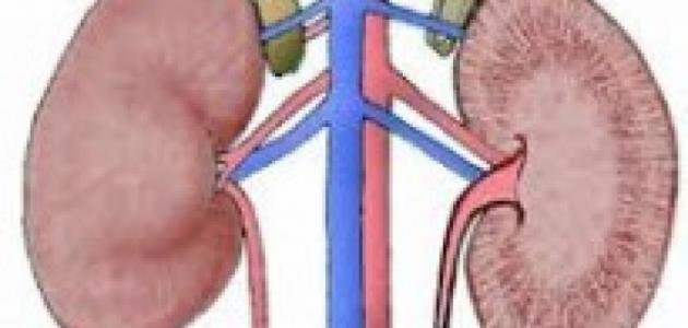 أعراض فشل الكلوي الحاد أعراض فشل الكلوي الحاد