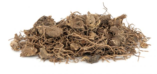 أعشاب تساعد في تنزيل الدورة الشهرية أعشاب تساعد في تنزيل الدورة الشهرية