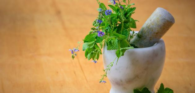 أعشاب لتخفيض هرمون الحليب أعشاب لتخفيض هرمون الحليب