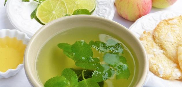 أعشاب لحرق دهون البطن أعشاب لحرق دهون البطن