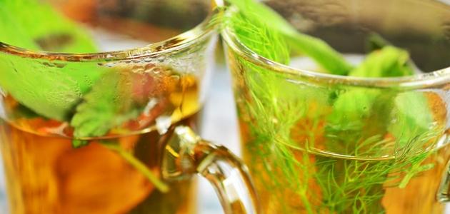 أعشاب للمعدة والقولون أعشاب للمعدة والقولون