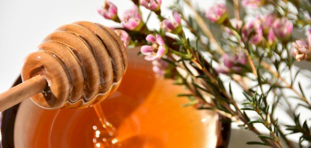 أغلى عسل في العالم