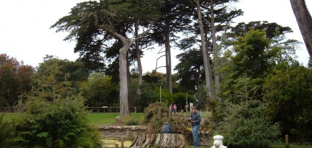 أفضل الأماكن السياحية في جورجيا