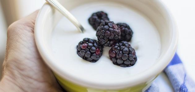 أفضل طريقة لعمل الزبادي فى المنزل