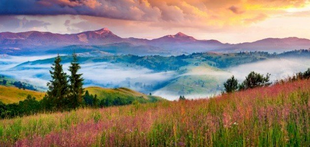 أقوال عن الجمال أقوال عن الجمال