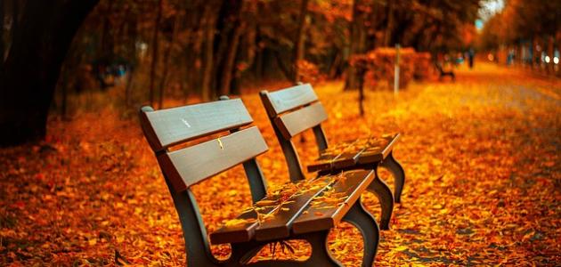 أقوال عن الخريف أقوال عن الخريف
